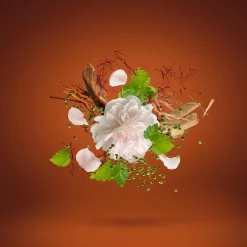 Casamorati 1888 Eau de Parfum 100ml Discount