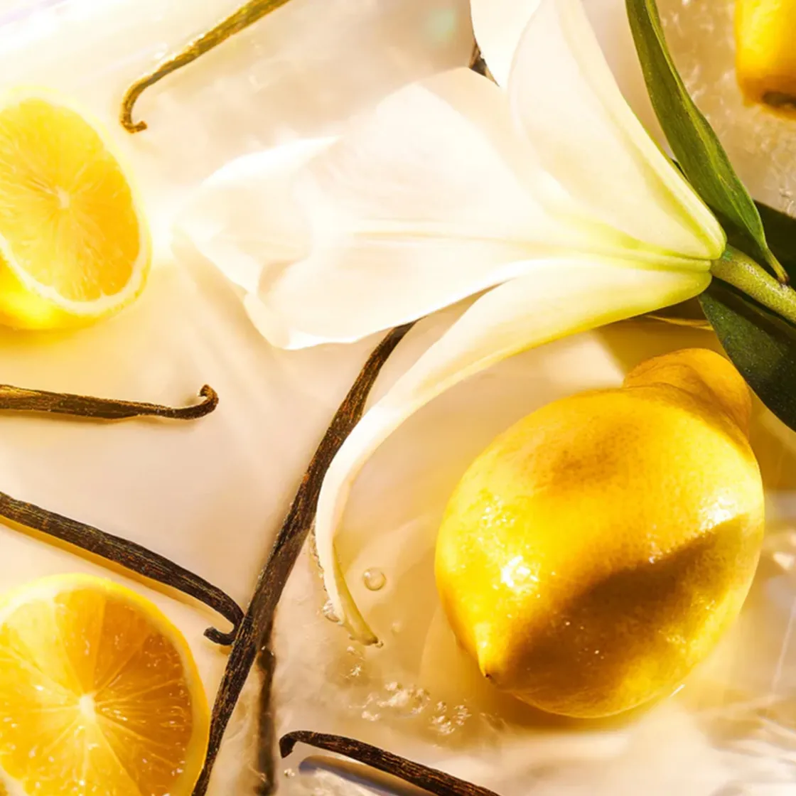 ROJA London 51 Pour Femme Eau de Parfum 75ml Online