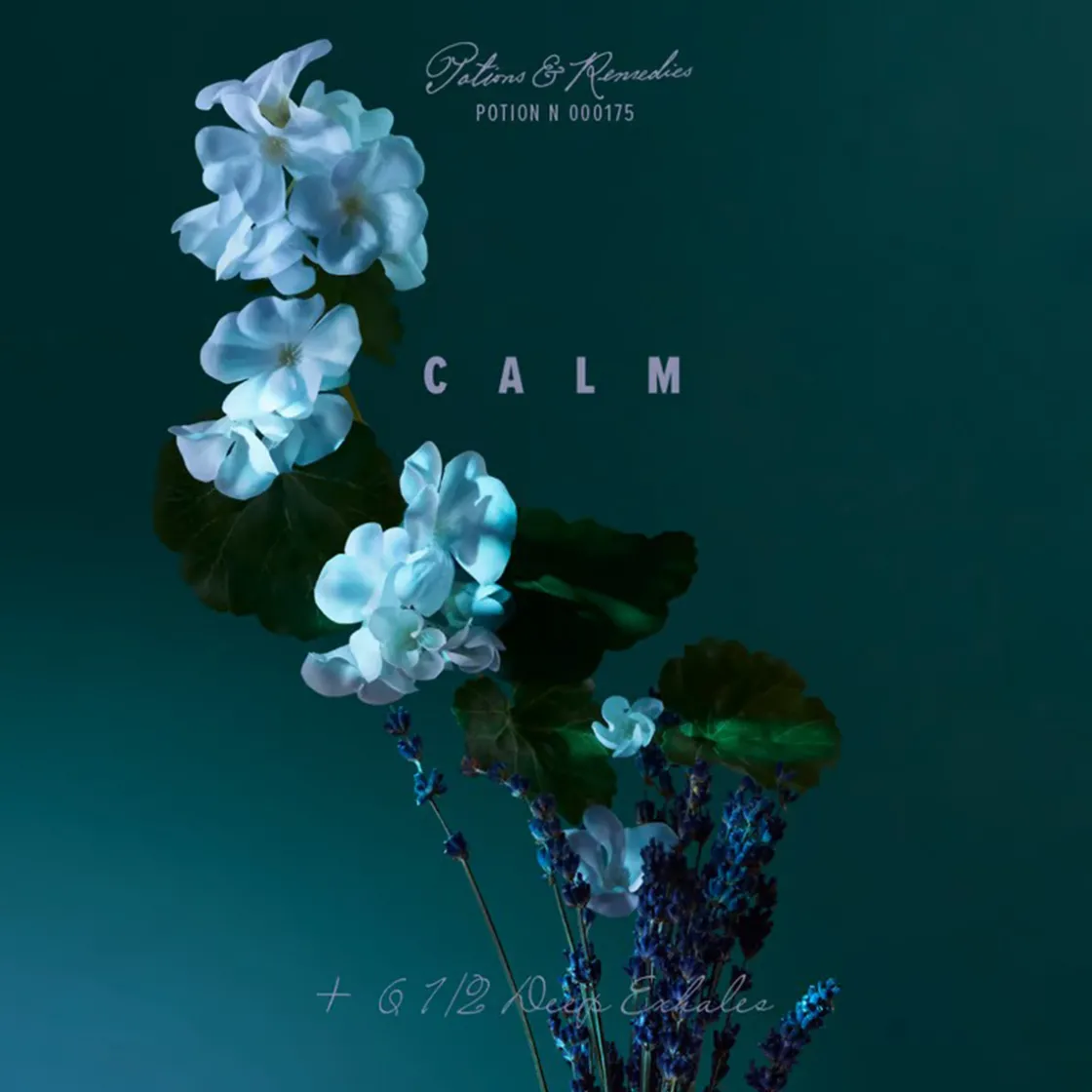 Penhaligon's A Balm of Calm Eau de Parfum 100ml Best