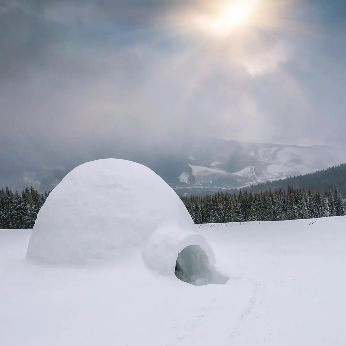 Maison Crivelli Absinthe Boréale Eau de Parfum 100ml Discount