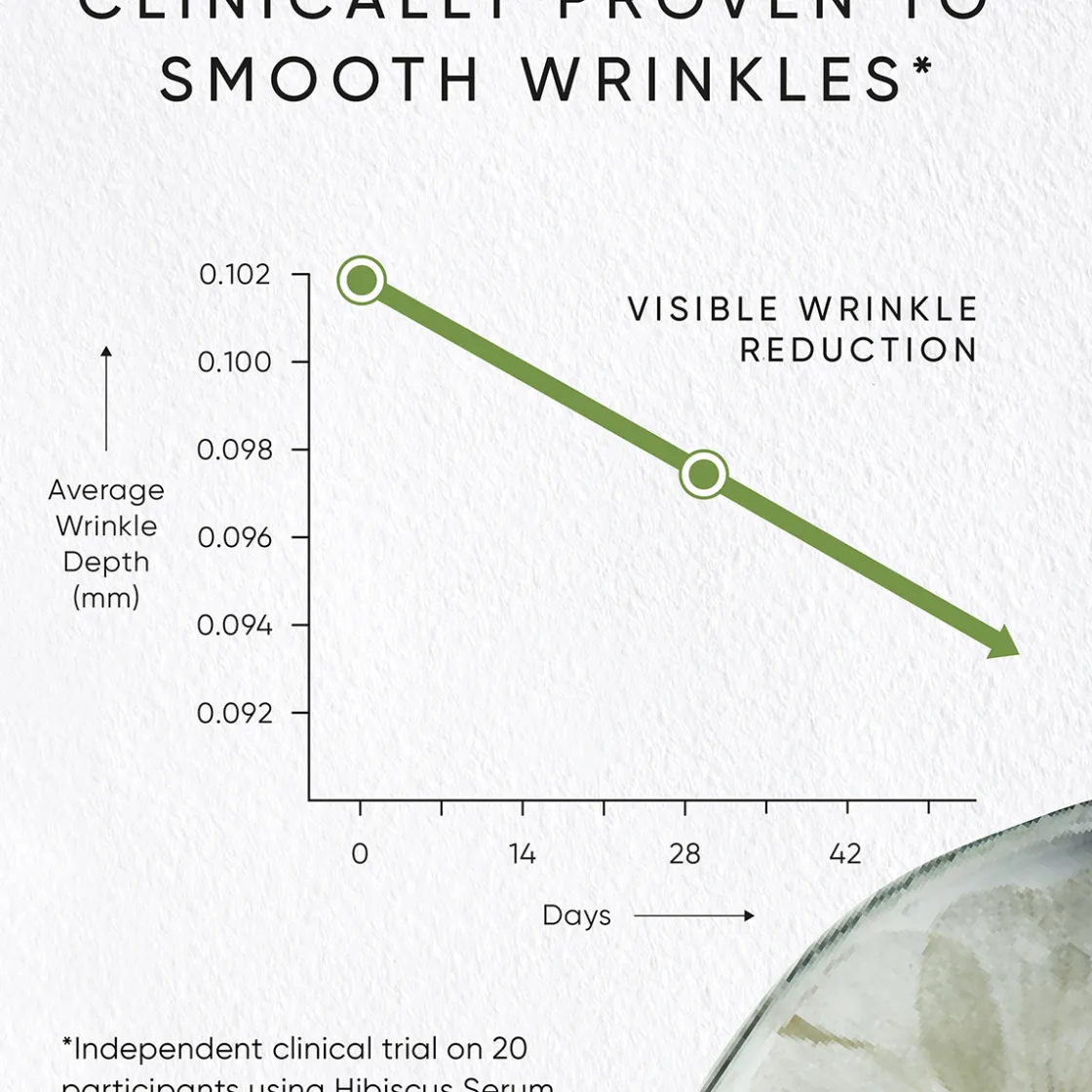 Irene Forte Age-Defying Day & Night Travel Kit Online