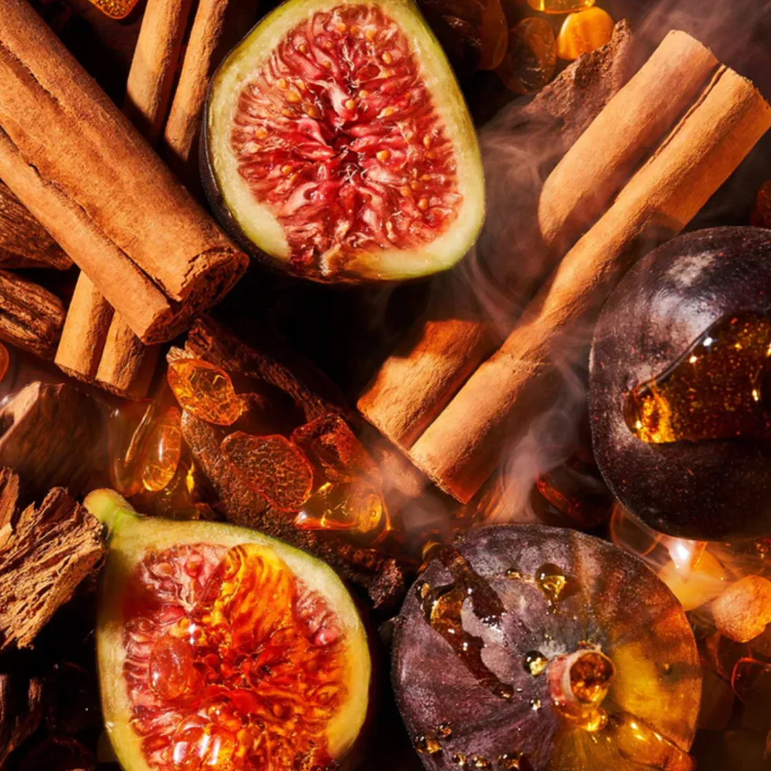 ROJA London Amber Aoud Parfum 50ml Online