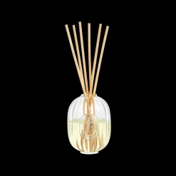 Diptyque Ambre Reed Diffuser Refill 200ml Clearance