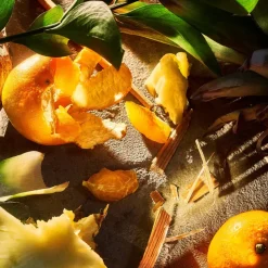 ROJA London Apex Pour Homme Eau de Parfum 100ml Discount