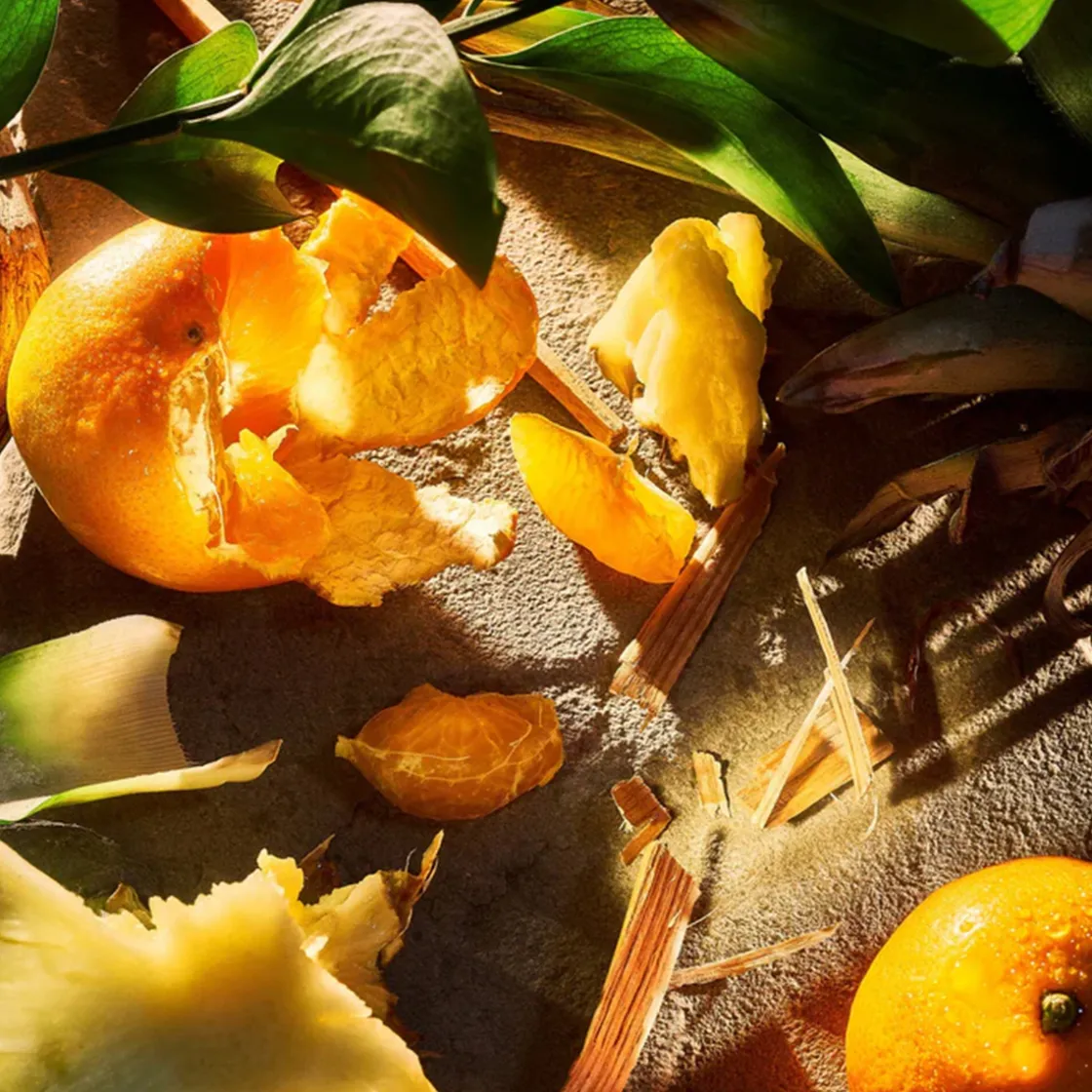 ROJA London Apex Pour Homme Parfum 50ml Best