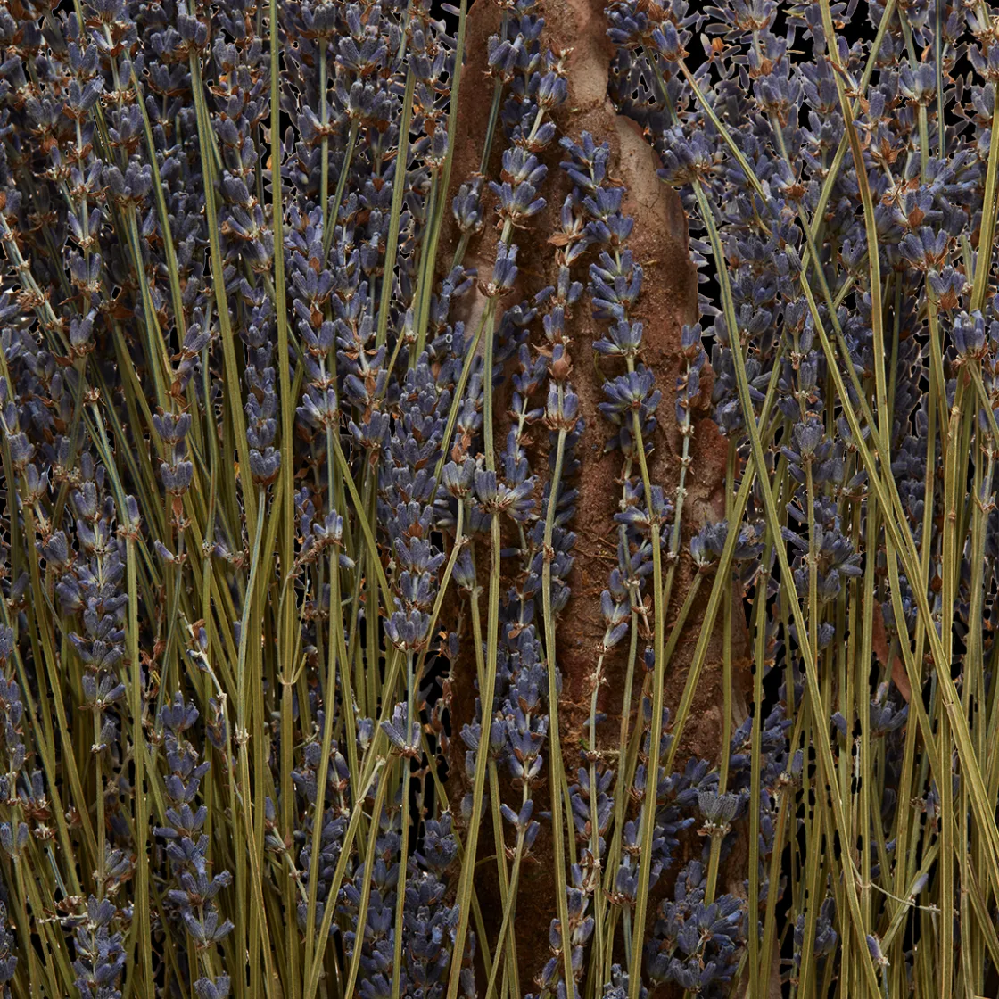 Veronique Gabai Aroma Eau de Parfum - Soul 10ml Sale