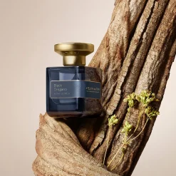 Atelier Materi Black Oregano Extrait de Parfum 50ml