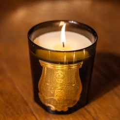 Trudon Bougie Gabriel 270gr Best