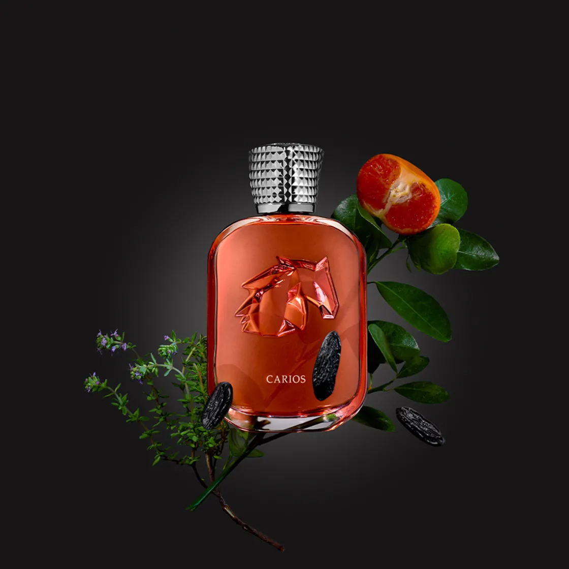 Parfums de Marly Carios Extrait de Parfum 100ml New