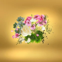 Casamorati Casa Futura Eau de Parfum 100ml Outlet