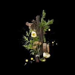 Corpus Cedar Flora 75gr