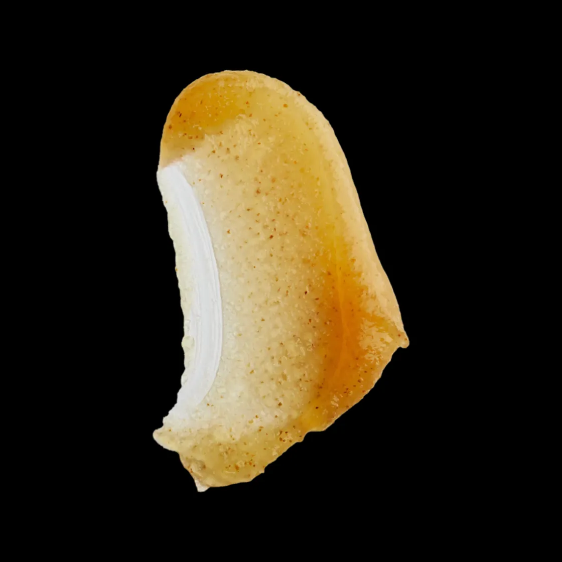 Goop Cloudberry Exfoliating Jelly Cleanser 120ml Discount