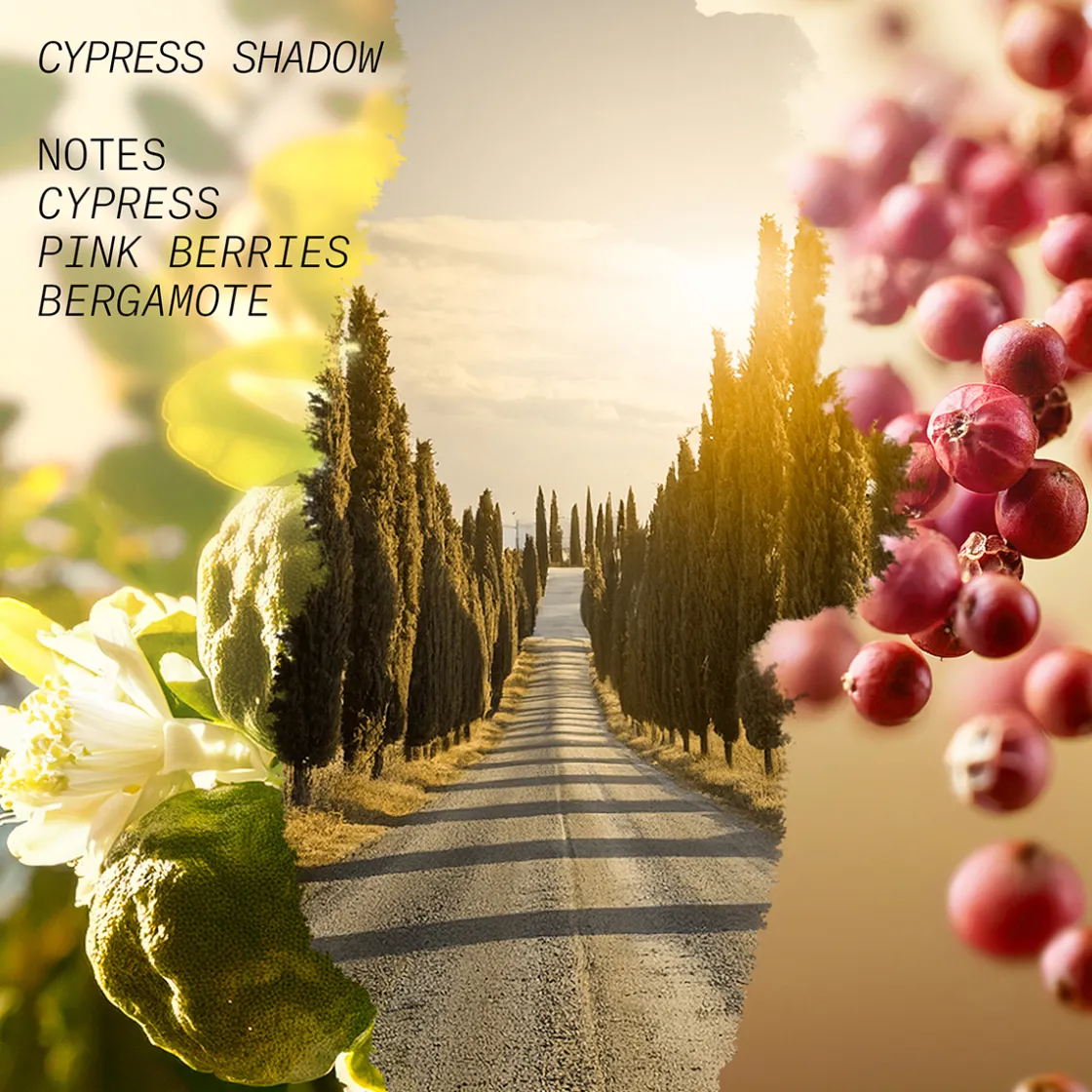 L’atelier Parfum Cypress Shadow Eau de Parfum 100ml Best