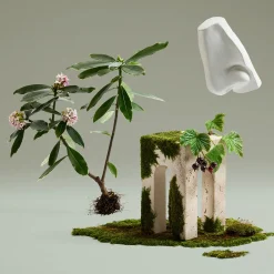 Penhaligon's Daphne Bouquet Eau de Parfum 100ml Best