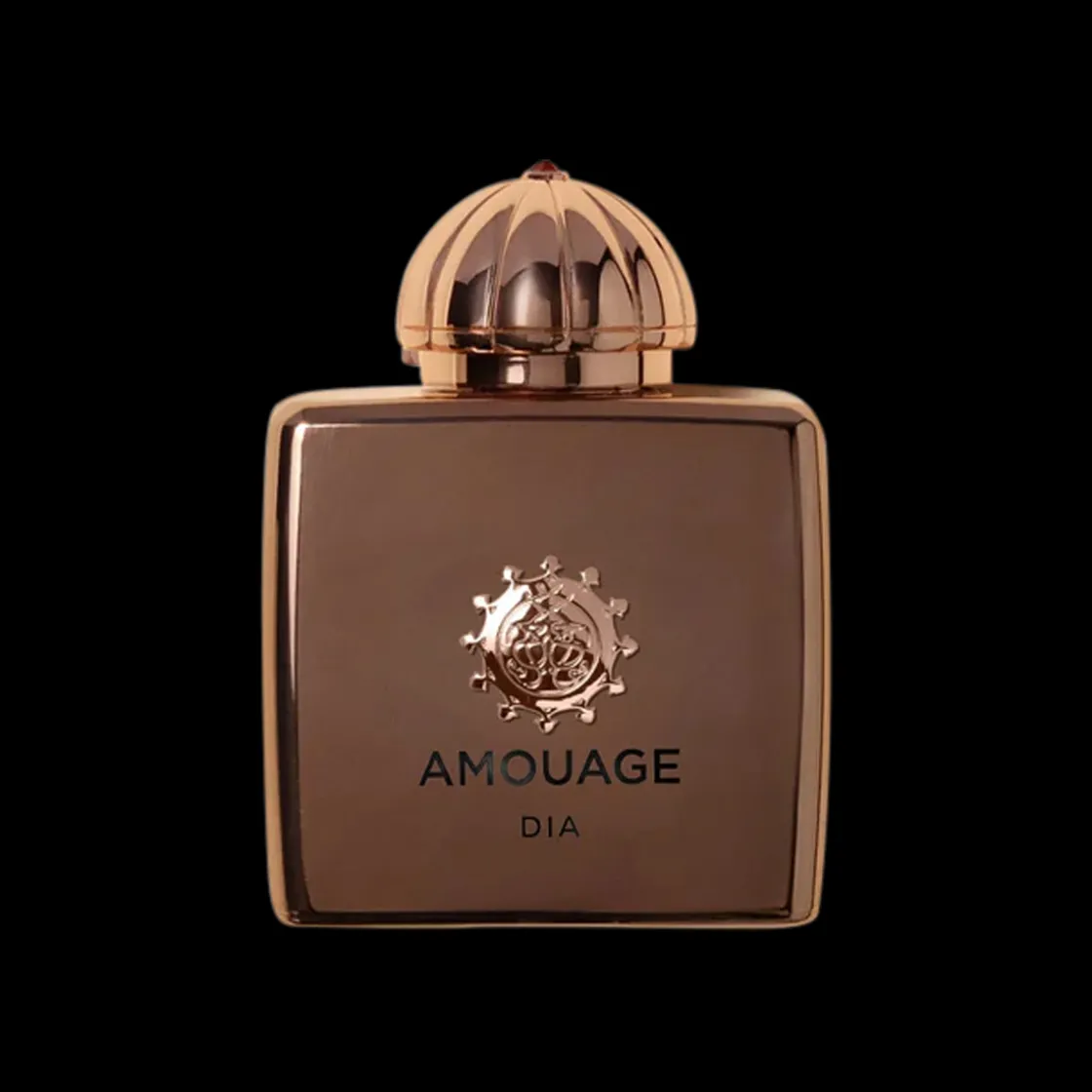 Amouage Dia Woman Eau de Parfum 100ml Outlet