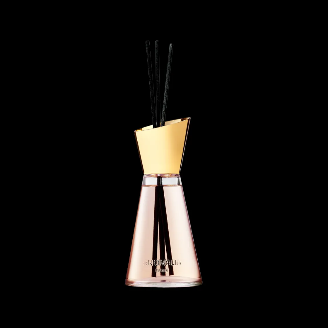 Anomalia Paris Diffuser Leather Bookbinding 200ml