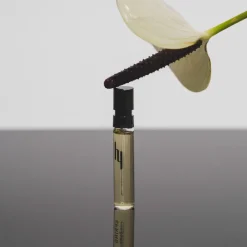 HIMA JOMO Discovery Set Treasures Collection Discount