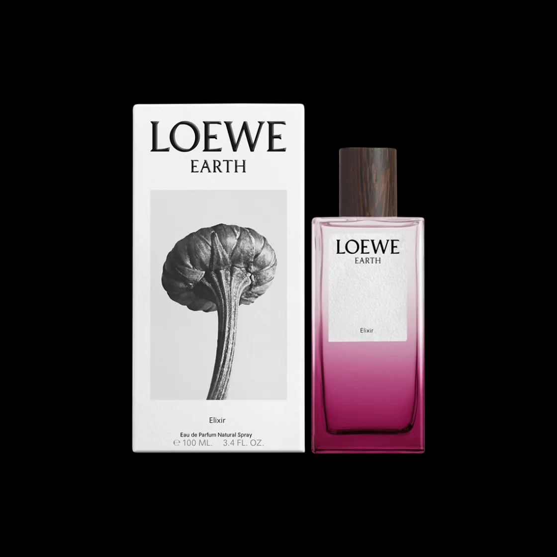 LOEWE Earth Elixir Eau de Parfum 100ml Outlet