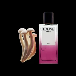 LOEWE Earth Elixir Eau de Parfum 100ml Outlet
