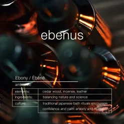 Zenology Ebenus Ambiance Trigger Spray 300ml Hot