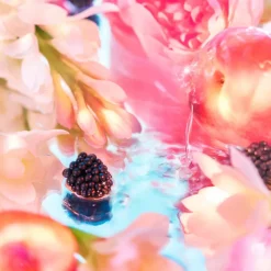 ROJA London Elysium Pour Femme Eau de Parfum 75ml Outlet