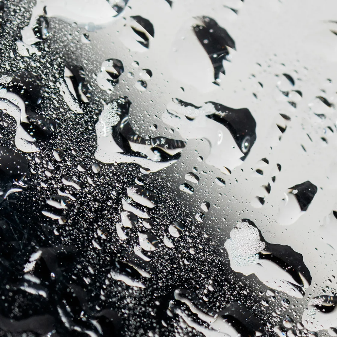 Cultured Fortitude Face Mist 60ml Discount