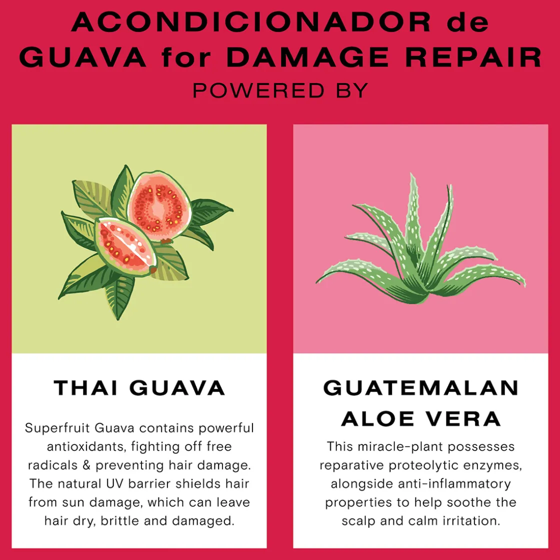 Ceremonia Guava Protect & Repair Conditioner 250ml New