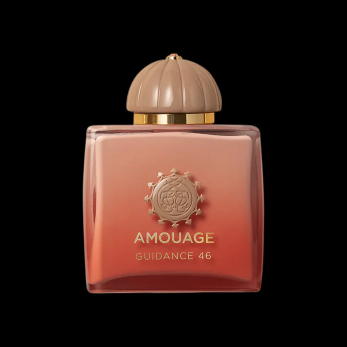 Amouage Guidance 46 Extrait de Parfum 100ml New