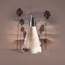 Nomenclature holy_wood Eau de Parfum 100ml Best