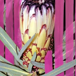 Byredo Infloresecence Eau de Parfum 100ml Hot