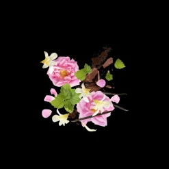 Xerjoff K Aurum Eau de Parfum 50ml Clearance