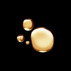 RMS Beauty Kakadu Beauty Oil 30ml Best