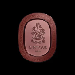 Diptyque La Fôret Rêve Premium Scented Candle 270gr