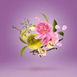 Casamorati La Tosca Eau de Parfum 100ml Clearance