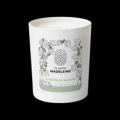 La petite Madeleine Le Figuier du Mas Saba Scented Candle 180gr Best