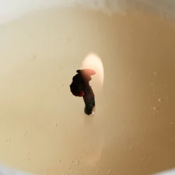 Olfactif Libra Wild Fig Scented Candle 240gr Best