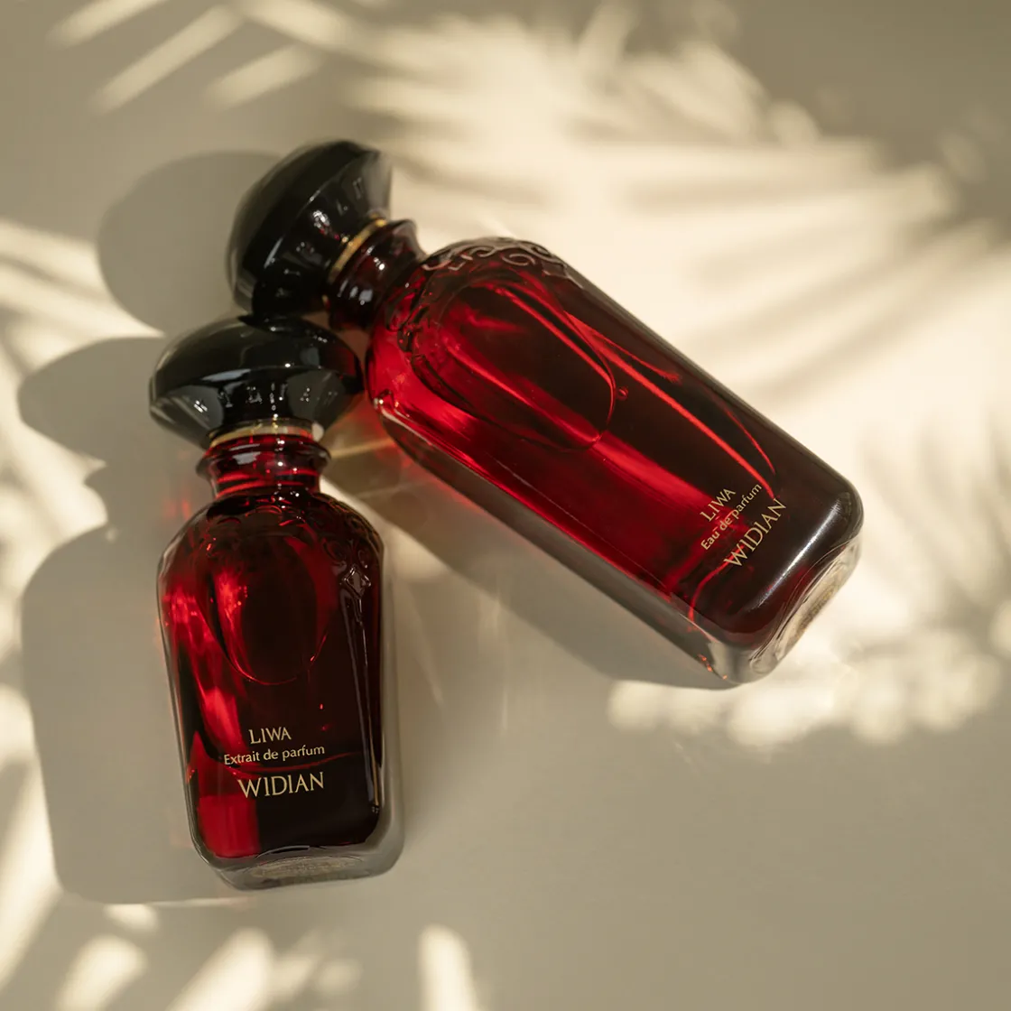 Widian Liwa Eau de Parfum 100ml Online