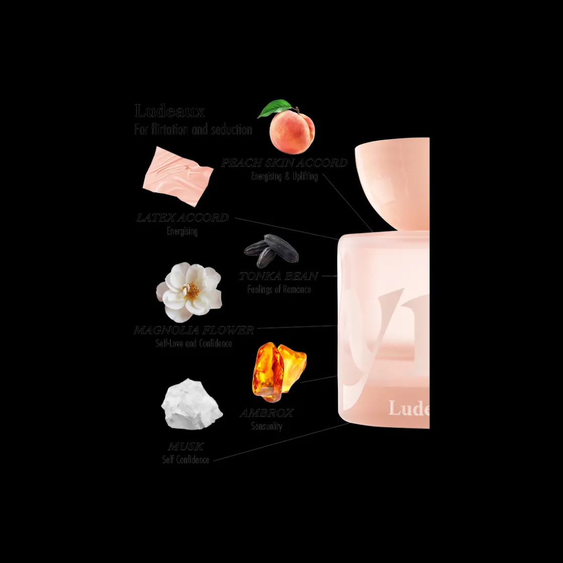 Vyrao Ludeaux Eau de Parfum 50ml Clearance