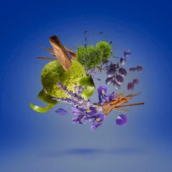 Casamorati Mefisto Eau de Parfum 100ml Sale