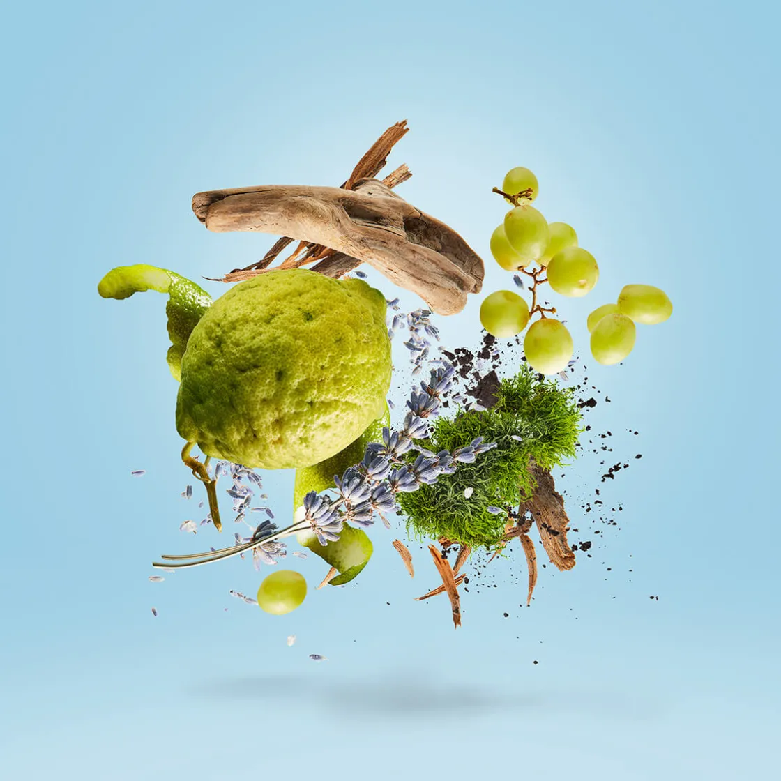 Casamorati Mefisto Gentiluoma Eau de Parfum 100ml Discount