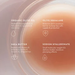 Furtuna Skin Olive Lip Butter Balm 8ml Outlet