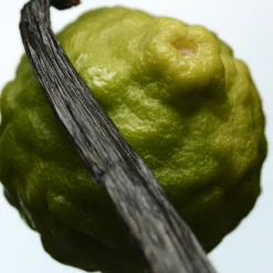 Dries Van Noten Orange Smoke Eau de Toilette 200ml Hot