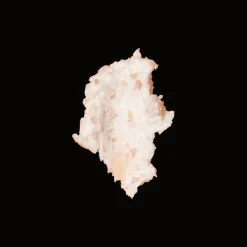 Ceremonia Papaya Scalp Scrub 236ml Clearance