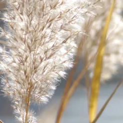 Maison Crivelli Papyrus Moleculaire Eau de Parfum 100ml Discount