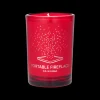 D.S. & DURGA Portable Fireplace Scented Candle L.E. 198gr Hot