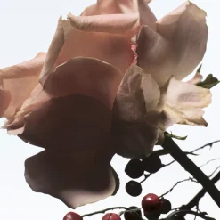 Dries Van Noten Raving Rose Soap 100gr