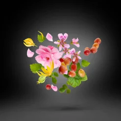 Casamorati Regio Eau de Parfum 30ml New