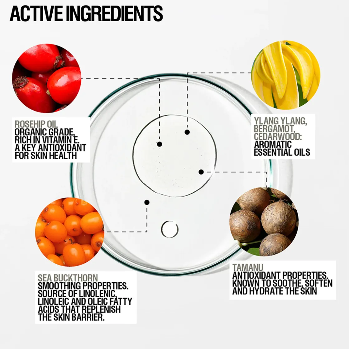 Grown Alchemist Restorative Body Oil 100ml Clearance