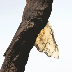 Dries Van Noten Rock The Myrrh Eau de Parfum 100ml Clearance