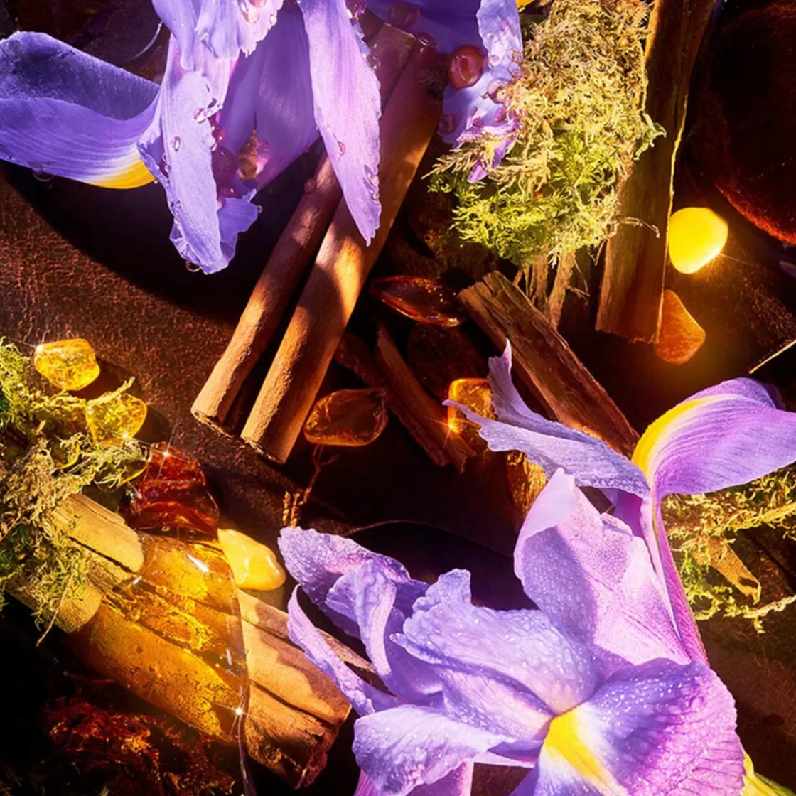 ROJA London ROJA Haute Luxe Parfum 100ml Clearance